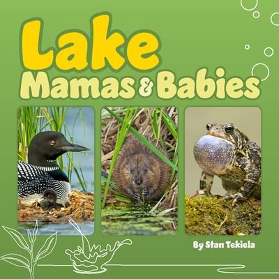 Cover for Stan Tekiela · Lake Mamas and Babies - Wildlife Families (Board book) (2024)