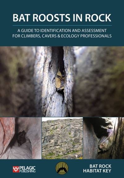 Cover for Bat Rock Habitat Key · Bat Roosts in Rock: A Guide to Identification and Assessment for Climbers, Cavers &amp; Ecology Professionals - Bat Biology and Conservation (Paperback Book) (2021)