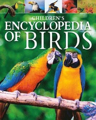 Cover for Claudia Martin · Children's Encyclopedia of Birds - Arcturus Children's Reference Library (Hardcover bog) (2020)