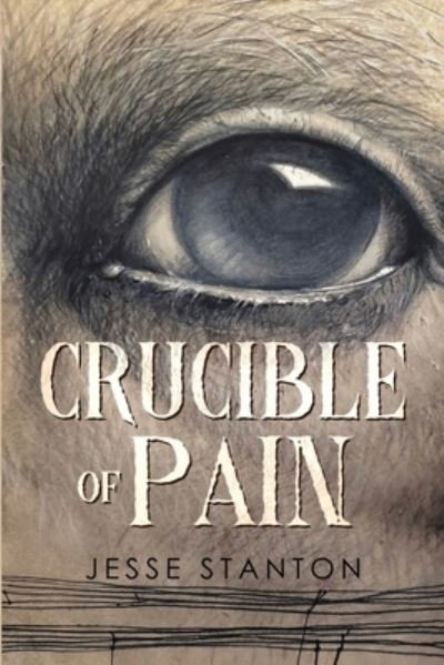 Jesse Stanton · Crucible of Pain (Paperback Book) (2024)
