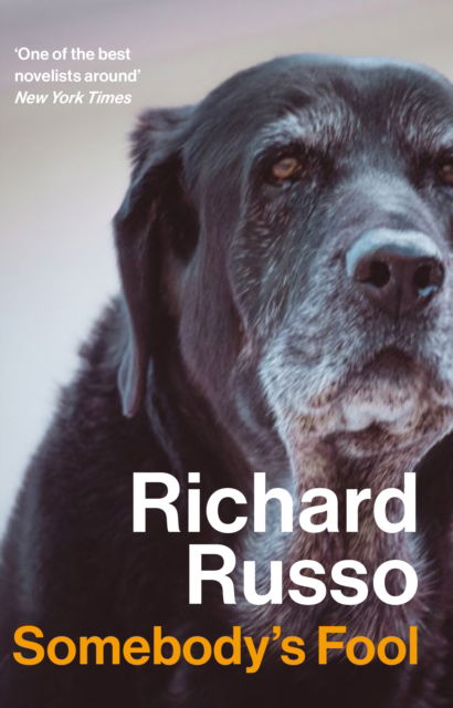 Cover for Richard Russo · Somebody's Fool (Pocketbok) [Main edition] (2024)