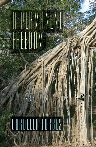 Cover for Curdella Forbes · A Permanent Freedom (Spiral Book) (2008)