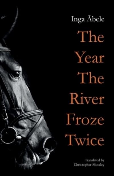 Cover for Inga Abele · The Year the River Froze Twice (Taschenbuch) (2020)
