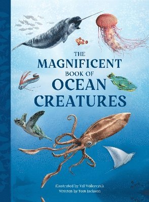 Cover for Tom Jackson · The Magnificent Book of Ocean Creatures (Paperback Book) (2025)