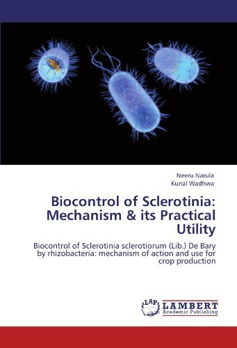 Cover for Kunal Wadhwa · Biocontrol of Sclerotinia: Mechanism &amp; Its Practical Utility: Biocontrol of Sclerotinia Sclerotiorum (Lib.) De Bary by Rhizobacteria: Mechanism of Action and Use for Crop Production (Taschenbuch) (2012)
