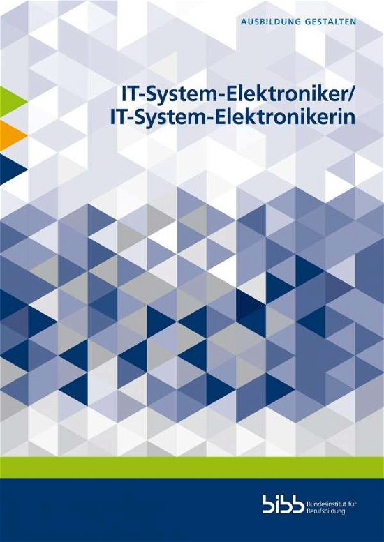 Cover for Blachnik · IT-System-Elektroniker / IT-Sys (Buch)