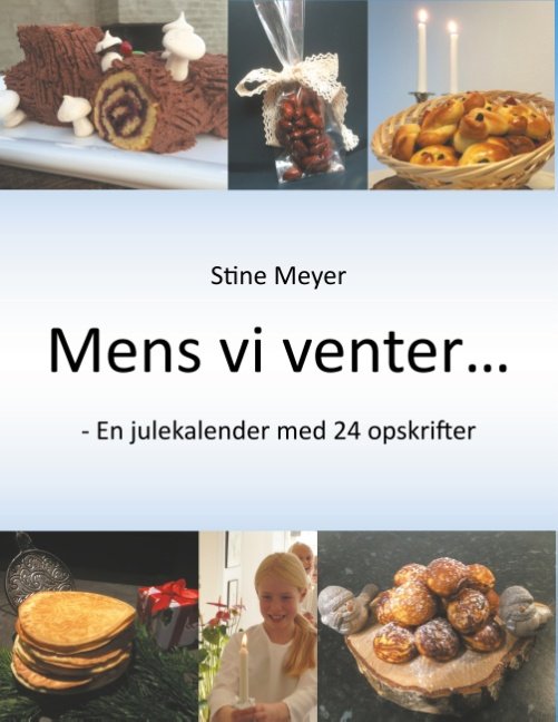 Cover for Stine Meyer · Mens vi venter... (Paperback Bog) [1. udgave] (2017)