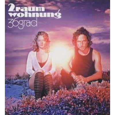 Cover for 2raumwohnung · 36 Grad (LP) (2007)