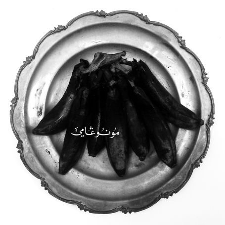 Cover for Land Of Kush's Egyptian Light Orchestra · Monogamy (LP) (2010)