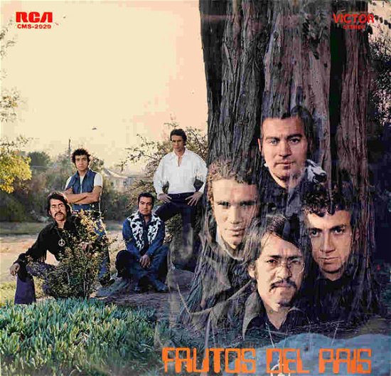 Cover for Frutos Del Pais (LP) (2023)