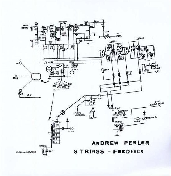 Cover for Andrew Pekler · Strings + Feedback (LP) (2015)