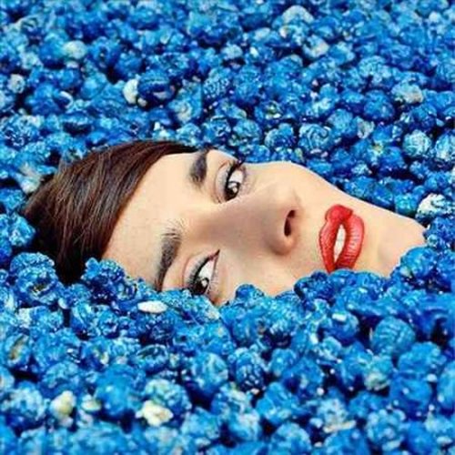 Cover for Yelle · Completement Fou (LP) (2014)