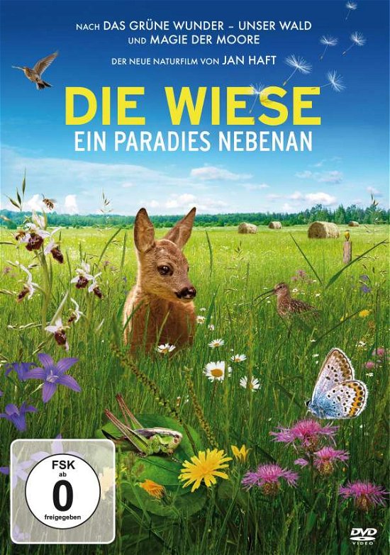 Cover for Sebastian Winkler · Die Wiese-ein Paradies Nebenan (DVD) (2019)