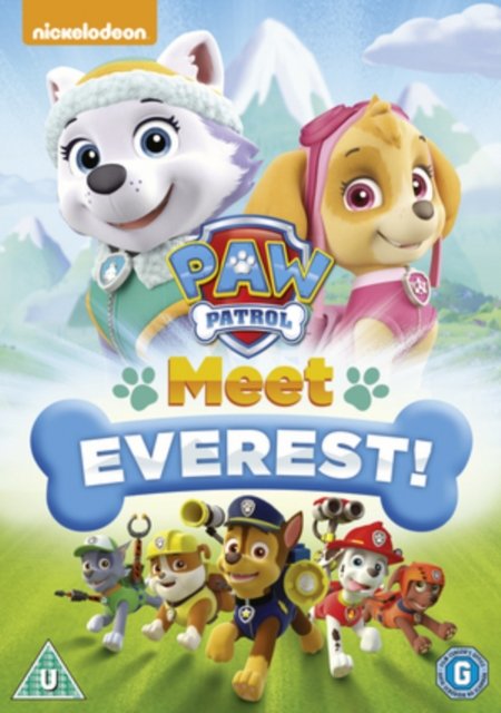Cover for Paw Patrol Meet Everest · Paw Patrol - Meet Everest (DVD) (2016)