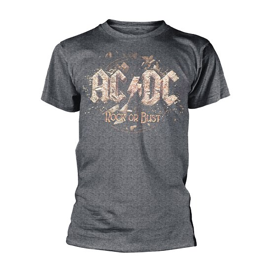 Cover for AC/DC · Rock or Bust (Grey) (T-shirt) [size L] (2022)