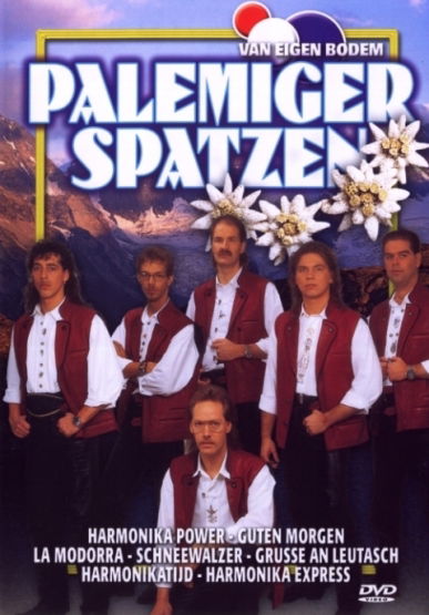 Harmonica Power - Palemiger Spatzen - Movies - DISCOUNT - 8713092060617 - February 28, 2008