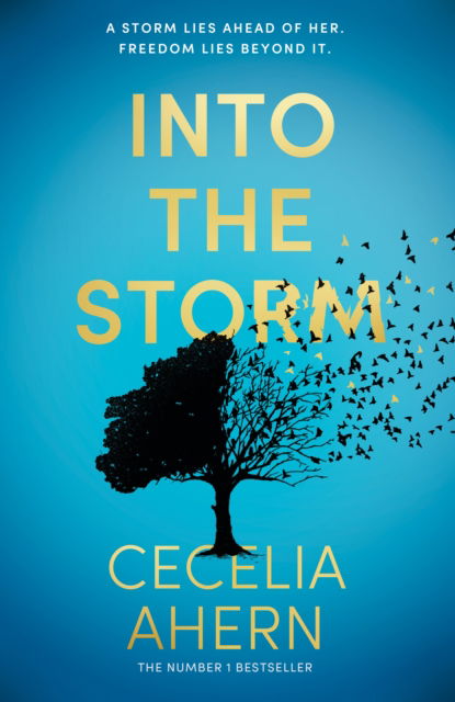 Into the Storm - Cecelia Ahern - Books - HarperCollins Publishers - 9780008725617 - September 26, 2024