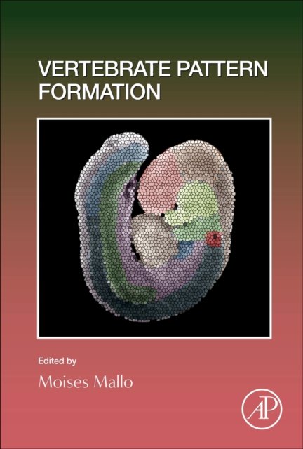 Cover for Vertebrate Pattern Formation : Volume 159 (Hardcover Book) (2024)