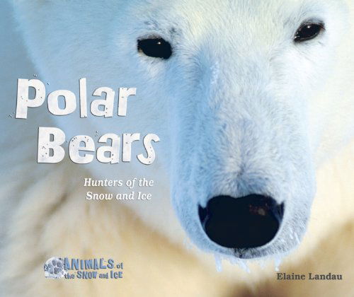 Cover for Elaine Landau · Polar Bears: Hunters of the Snow and Ice (Animals of the Snow and Ice) (Hardcover Book) (2010)