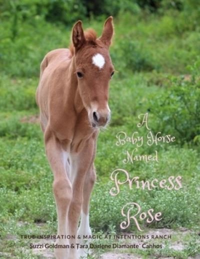 Cover for Suzzi Goldman · A Baby Horse Named Princess Rose (Paperback Book) (2020)