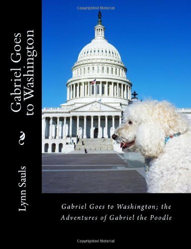 Cover for Lynn B Sauls · Gabriel Goes to Washington: Through Big Brown Eyes; the Adventures of Gabriel the Poodle (Paperback Book) (2013)