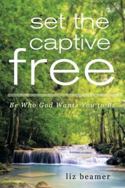 Cover for Liz Beamer · Set the Captive Free (Paperback Book) (2015)