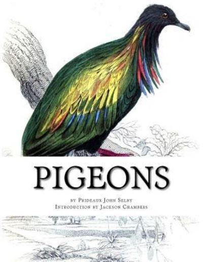 Cover for Prideaux John Selby · Pigeons (Paperback Bog) (2016)