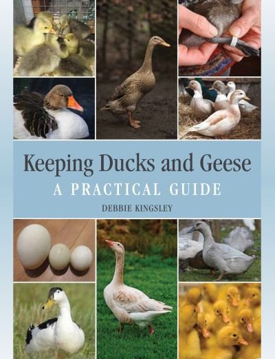 Cover for Debbie Kingsley · Keeping Ducks and Geese: A Practical Guide (Hardcover Book) (2021)