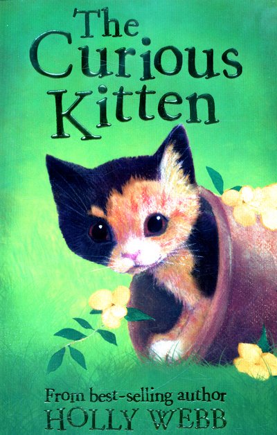 Cover for Holly Webb · The Curious Kitten - Holly Webb Animal Stories (Taschenbuch) (2016)