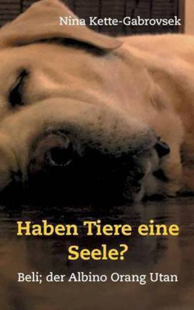 Cover for Nina Kette-Gabrovsek · Haben Tiere eine Seele?: Beli, der Albino Orang Utan (Paperback Book) (2016)