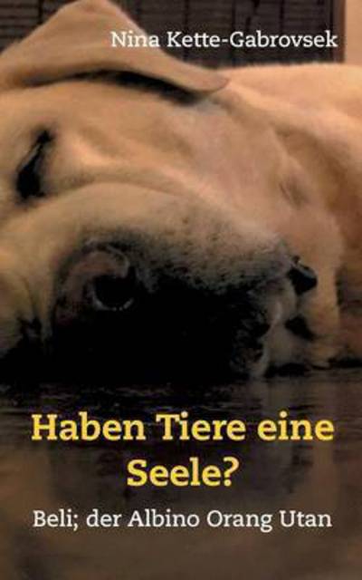 Cover for Nina Kette-Gabrovsek · Haben Tiere eine Seele?: Beli, der Albino Orang Utan (Taschenbuch) (2016)