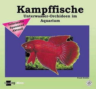 Kampffische - Frank Schäfer - Books - Aqualog Animalbook GmbH - 9783936027617 - March 1, 2006