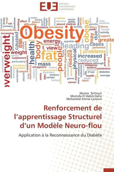 Cover for Mohamed Amine Lazouni · Renforcement De L'apprentissage Structurel D'un Modèle Neuro-flou: Application À La Reconnaissance Du Diabète (Paperback Book) [French edition] (2018)