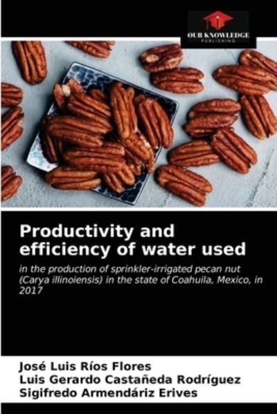 Cover for Jose Luis Rios Flores · Productivity and efficiency of water used (Paperback Book) (2021)