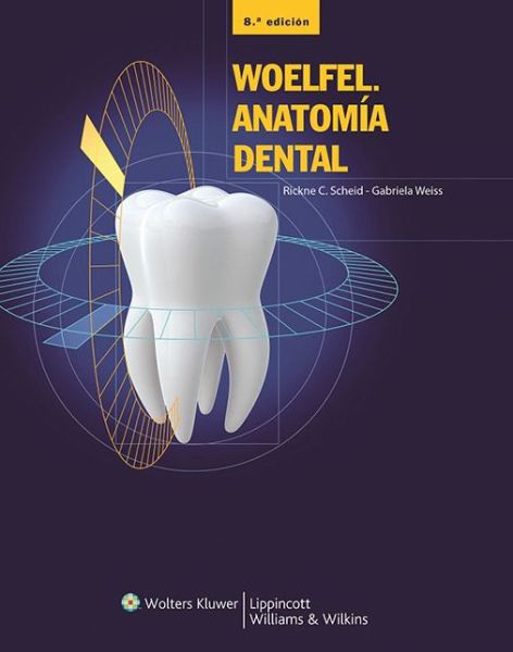 Cover for Rickne C. Scheid · Woelfel. Anatomia Dental (Hardcover Book) [8 Rev edition] (2012)