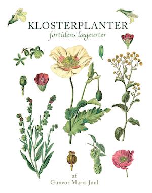 Cover for Gunvor Maria Juul · Klosterplanter (Inbunden Bok) [1:a utgåva] (2021)