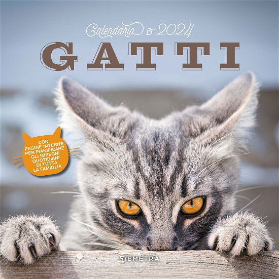 Cover for Aa Vv · Calendario Gatti  2024 (N/A)