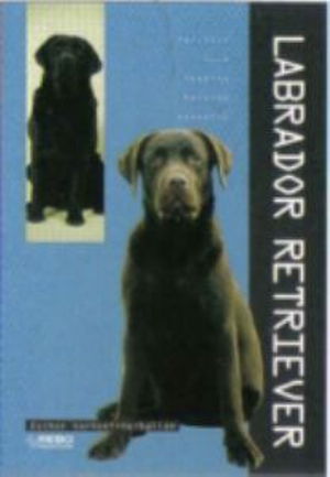 Cover for Pet Care  Labrador Retriever (Book)