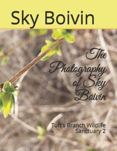 Cover for Sky Boivin · The Photography of Sky Boivin (Paperback Bog) (2020)