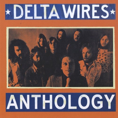 Anthology-delta Wires - Anthology - Music - CD Baby - 0617765056618 - January 15, 2013