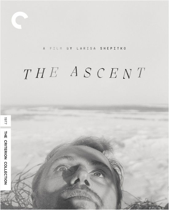 The Ascent - Blu-ray - Movies - DRAMA - 0715515254618 - January 26, 2021