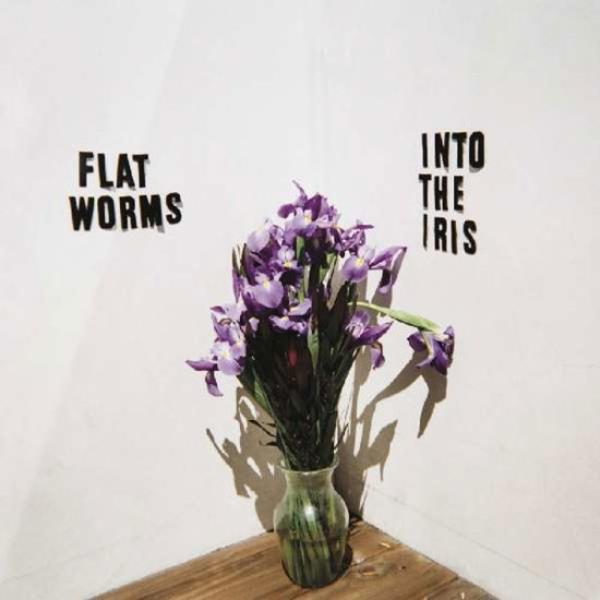 Cover for Flat Worms · Into The Iris (LP) [Maxi edition] (2019)