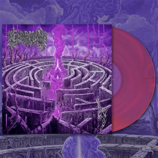 Cover for Civerous · Maze Envy (Purple / Magenta Merge Vinyl) (LP) (2024)