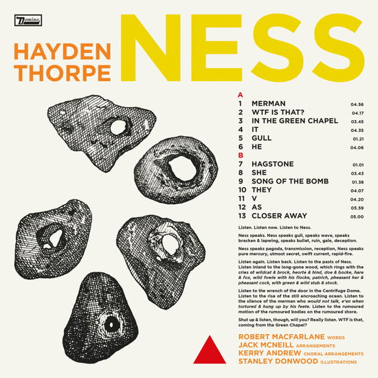 Ness - Hayden Thorpe - Music - Domino Records - 0887828051618 - September 27, 2024