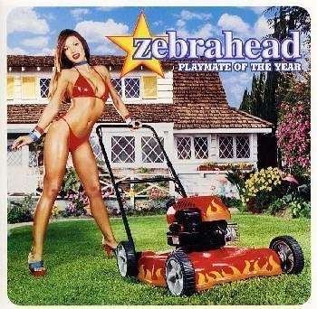 Cover for Zebrahead · Playmate of Year (CD) [Bonus Tracks edition] (2008)