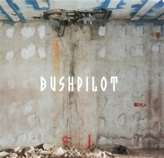 Cover for Bushpilot · Already! (LP) (2020)