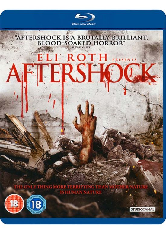 Cover for Aftershock (Blu-ray) (2013)