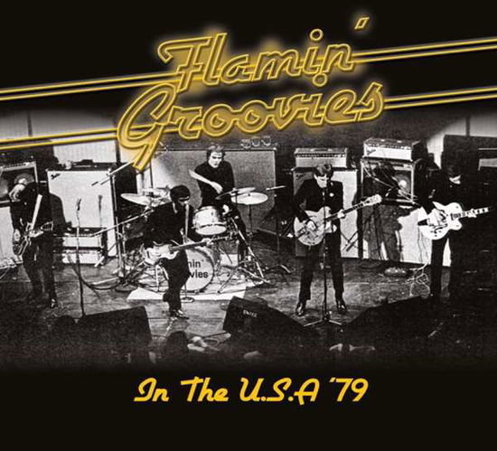 Cover for Flamin' Groovies · In the U.s.a '79 (CD) (2015)