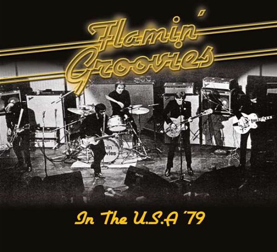 Cover for Flamin' Groovies · In the U.s.a. '79 (CD) (2015)