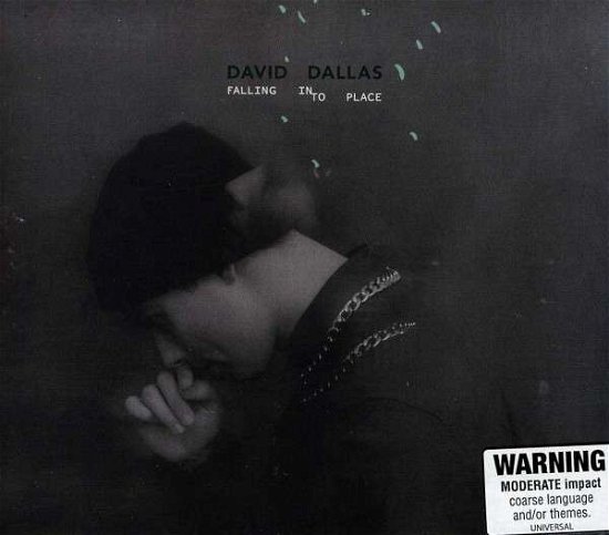 Cover for David Dallas · Falling Into Place (CD) (2013)